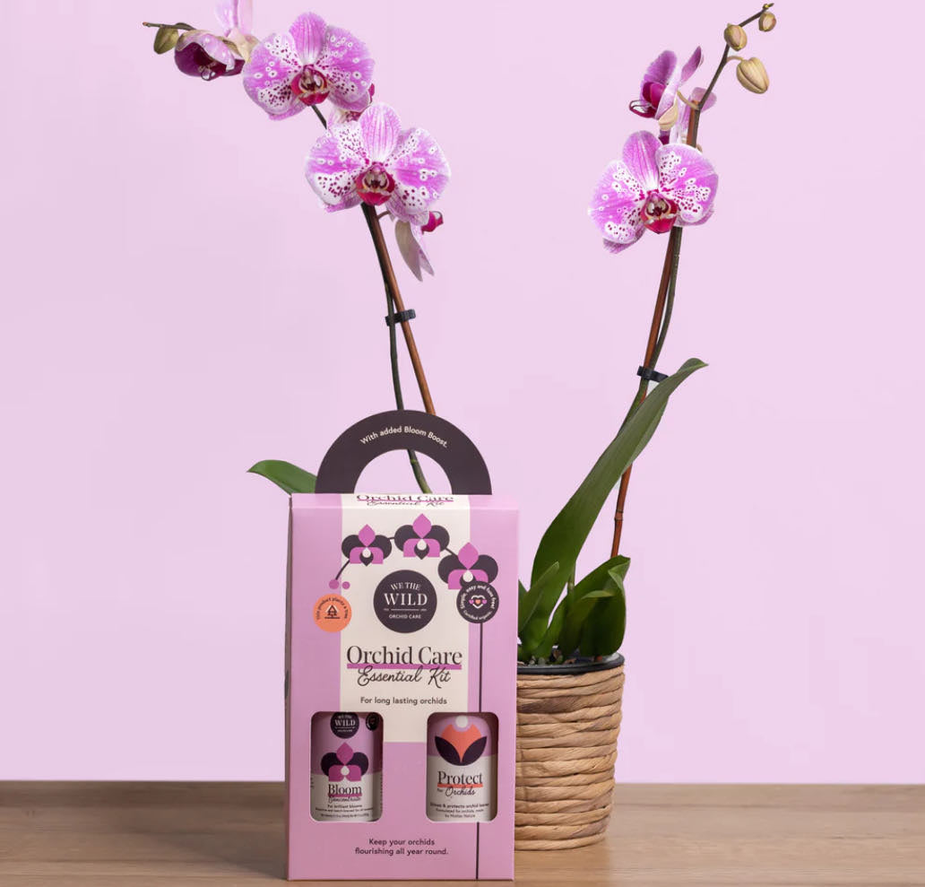We the Wild Orchid Care Duo