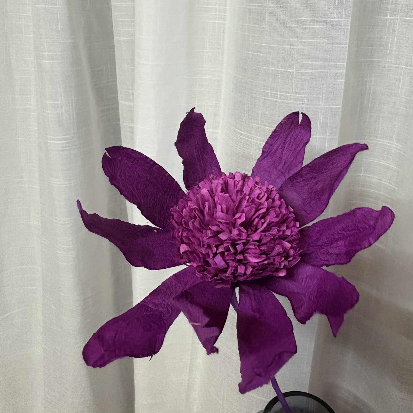 Paper Flower  - Echinacea