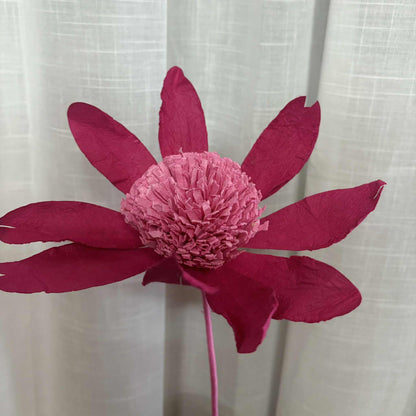 Paper Flower  - Echinacea