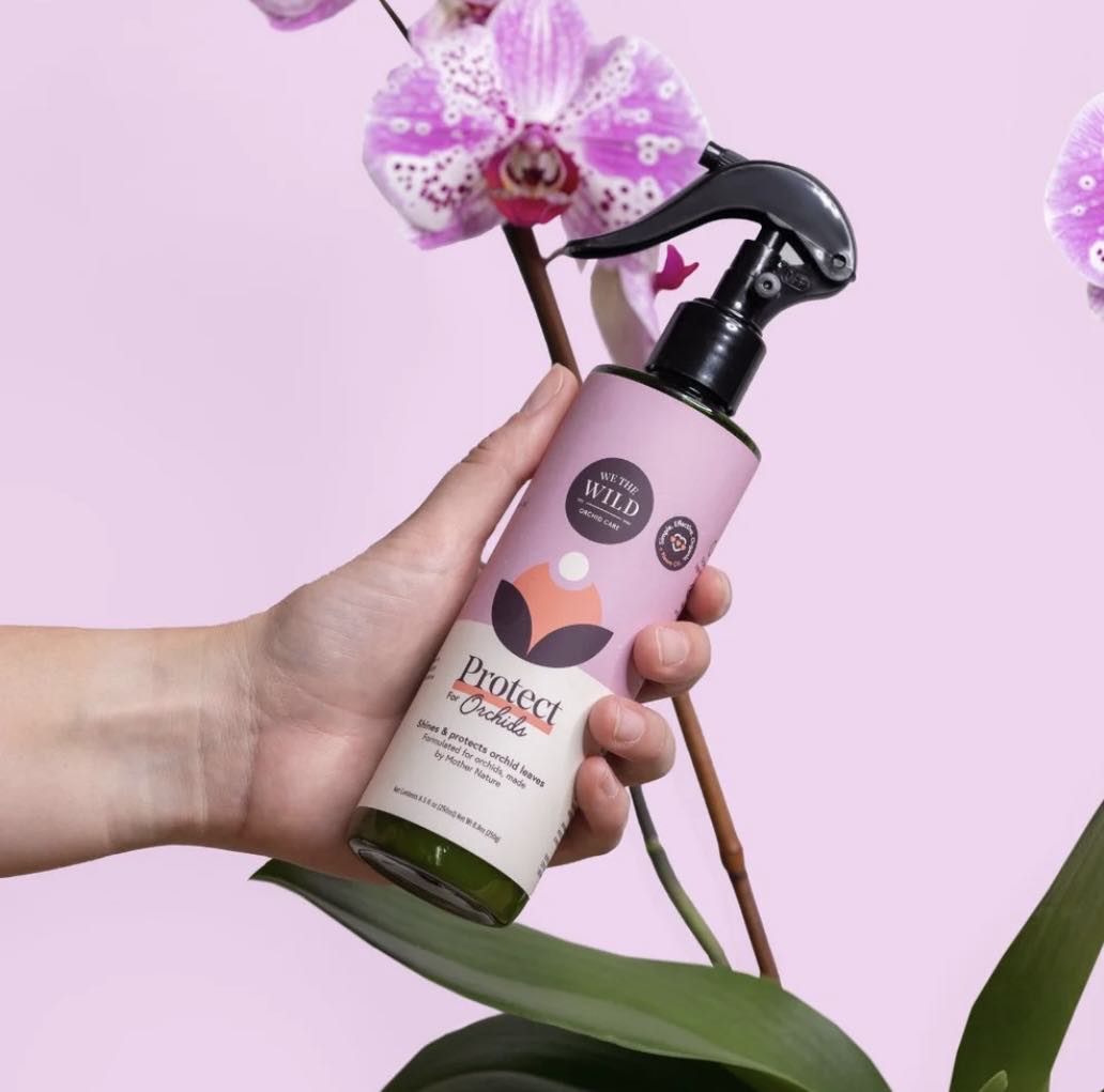 We the Wild Orchid Care Duo