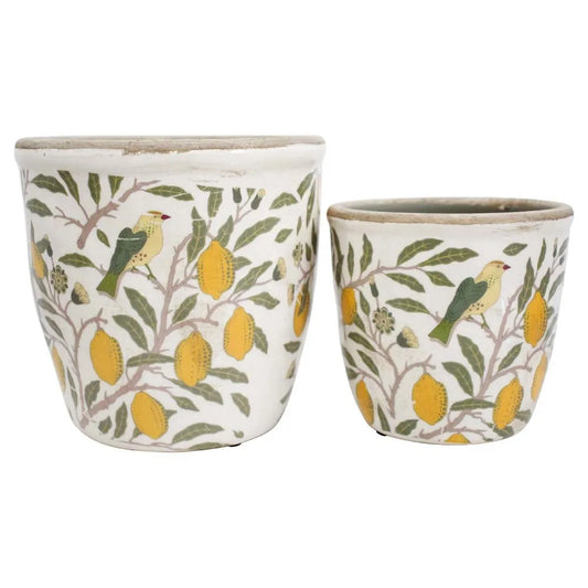 Vintage Lemon Planters