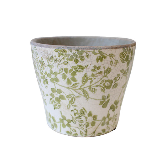 Planter Evergreen