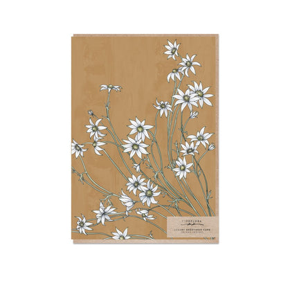 Typoflora Card