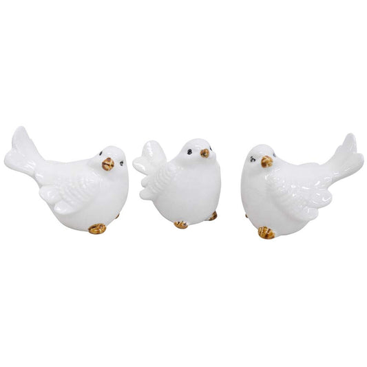 White Birds